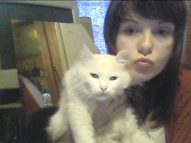 lol my cat Snowbell