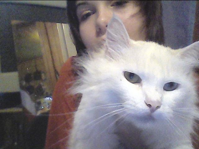 SNOWBELL AGAIN keke